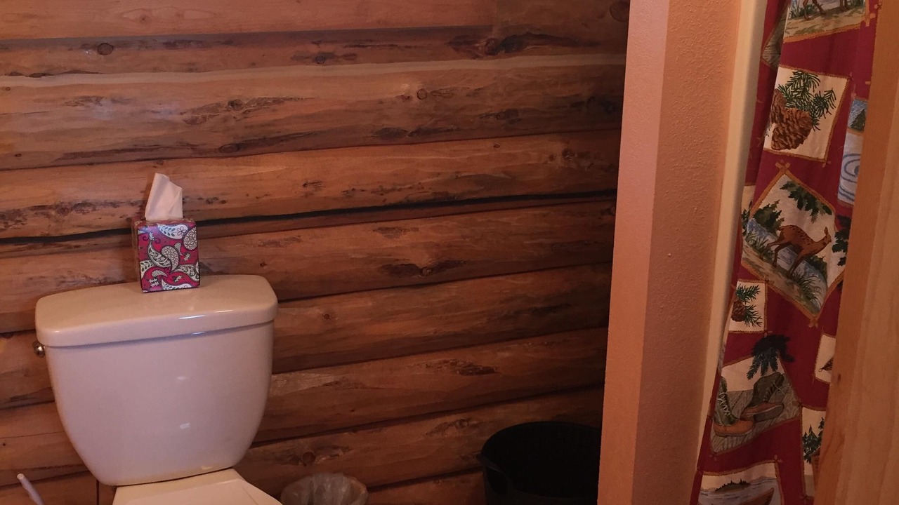 Photo of Bathroom in Wise River