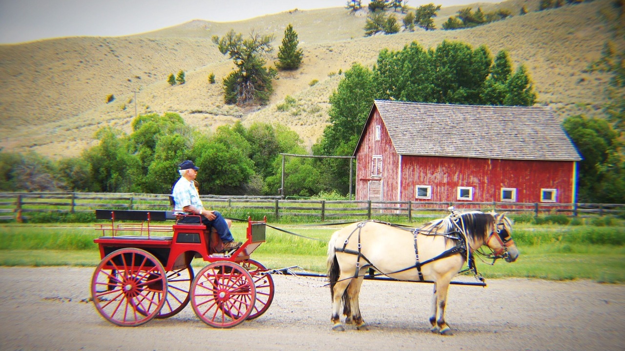 Photo of Others in White Sulphur Springs