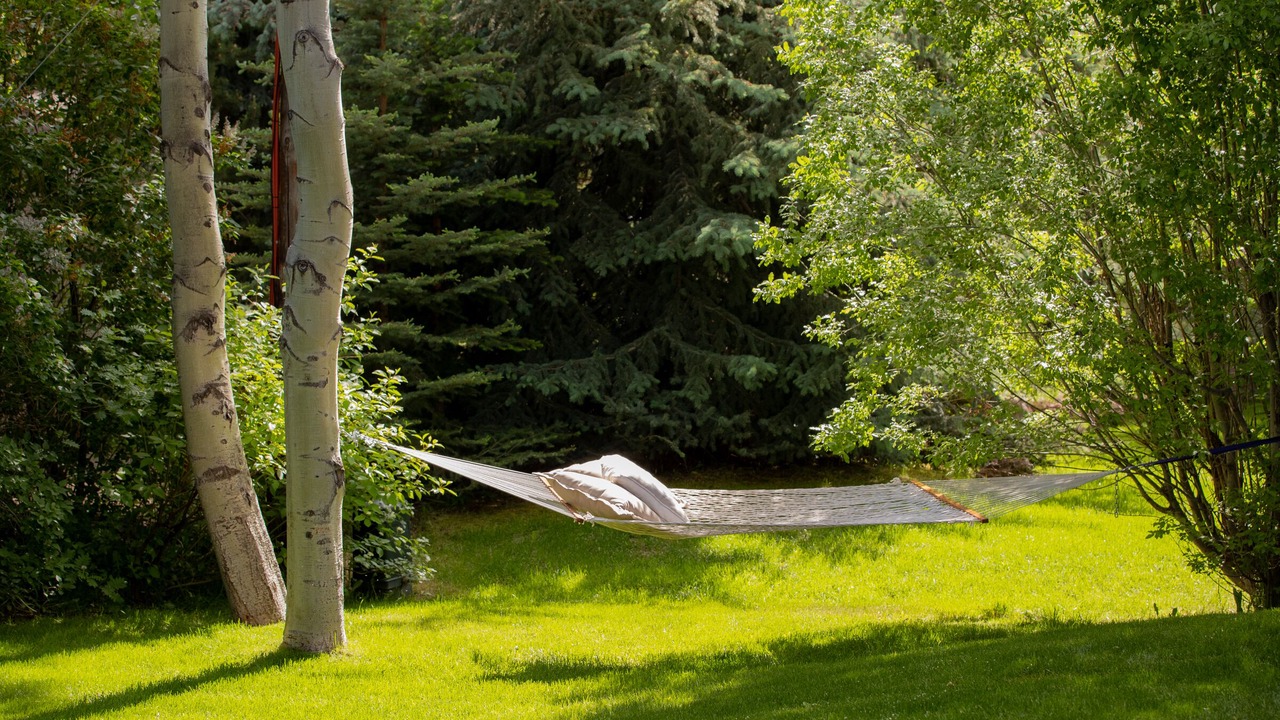 Photo of Outdoor in Warm Springs