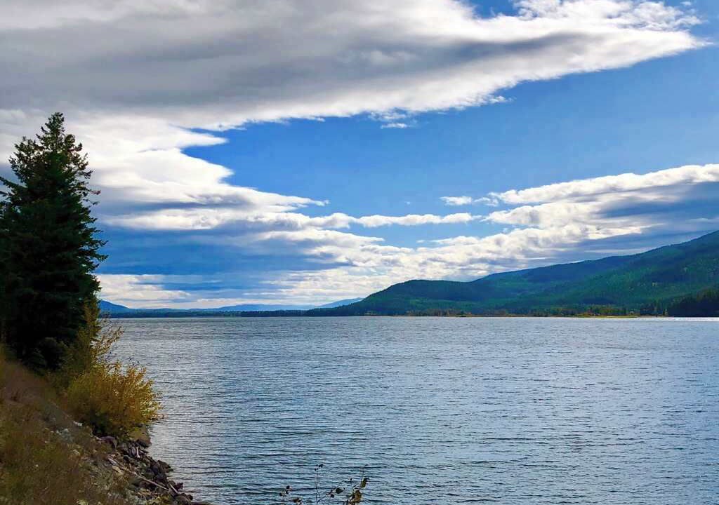Photo of Outdoor in Swan Lake
