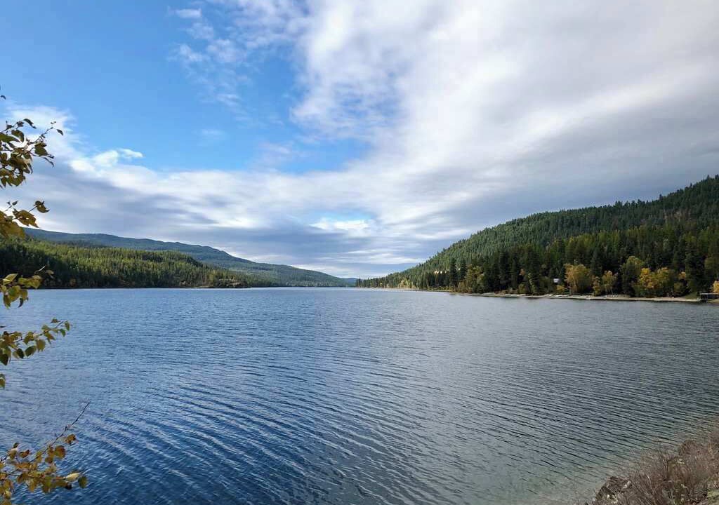Photo of Outdoor in Swan Lake