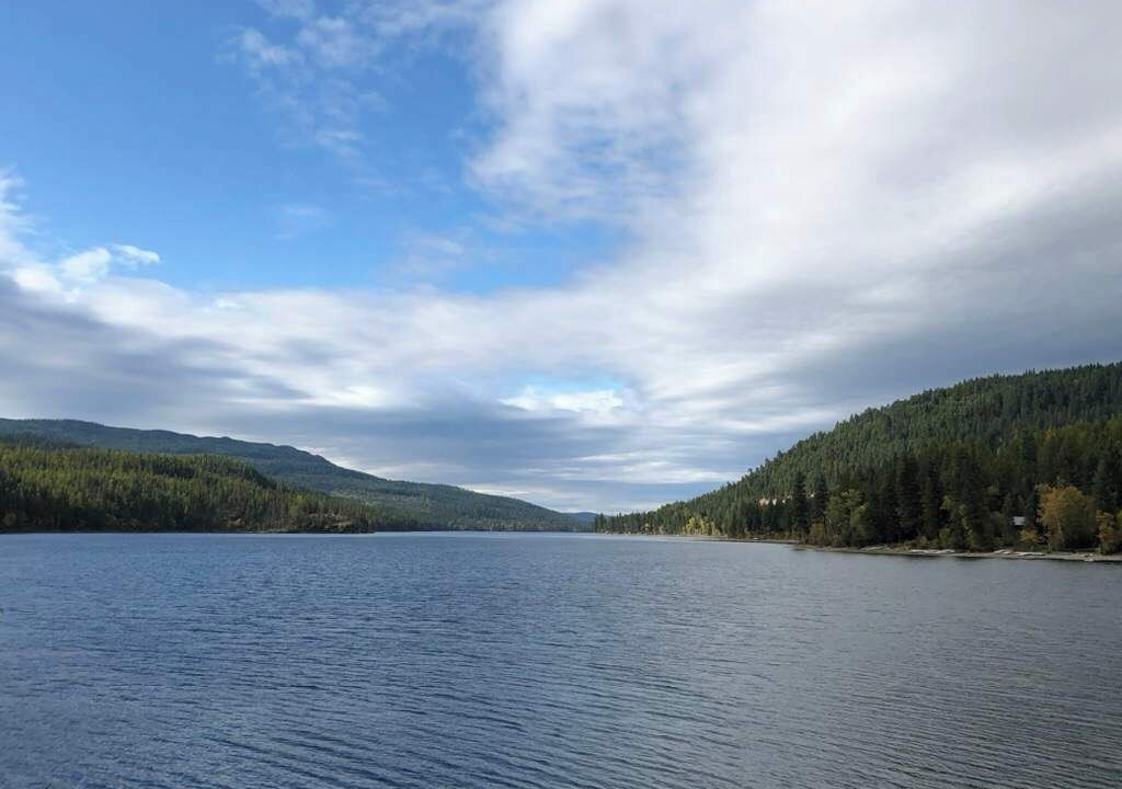 Photo of Outdoor in Swan Lake