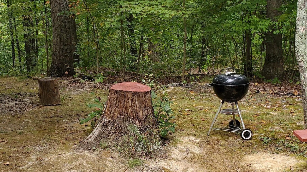 Photo of Outdoor in Nashville