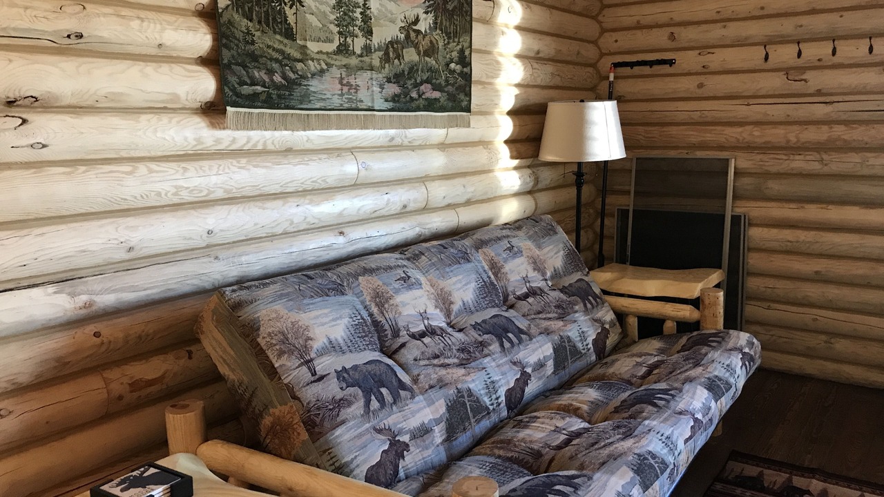 Photo of Livingroom in Emigrant