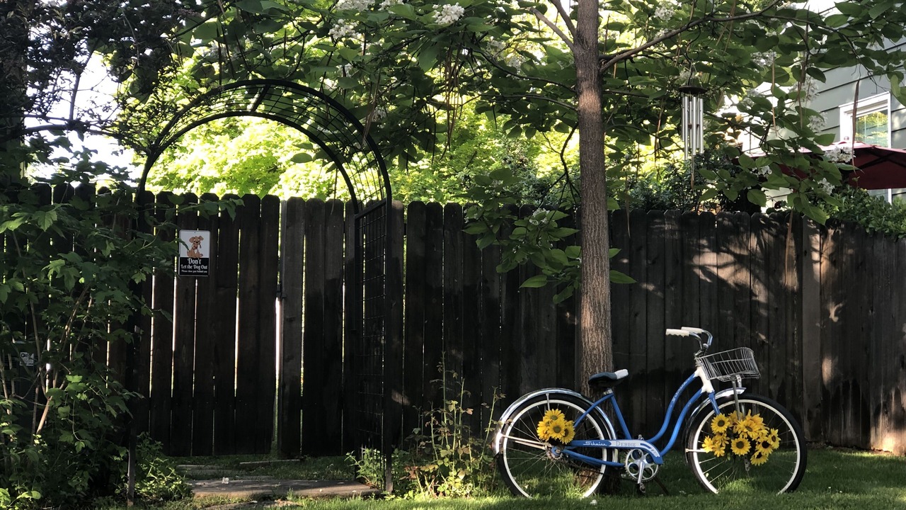 Photo of Others in East End