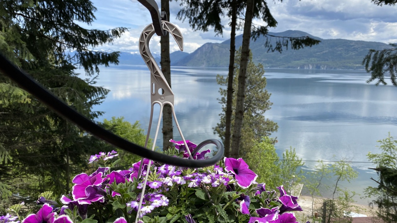 Photo of Outdoor in Sagle