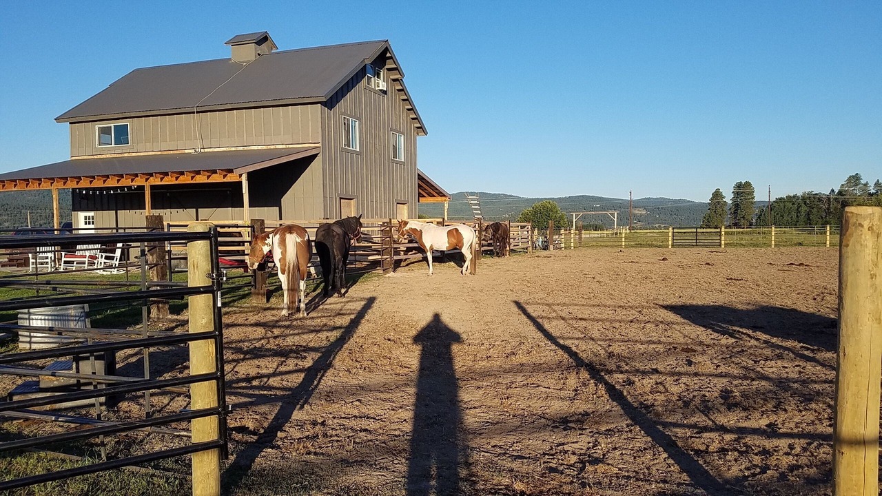 Photo of Others in Kalispell