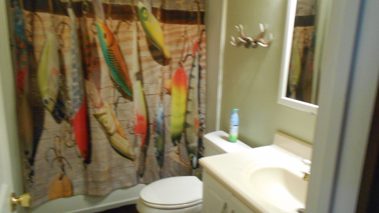 Photo of Bathroom in Last Chance