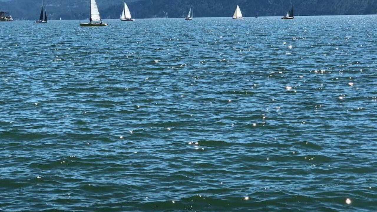Photo of Others in Bayview