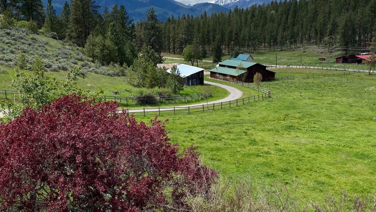 Photo of Outdoor in Stevensville