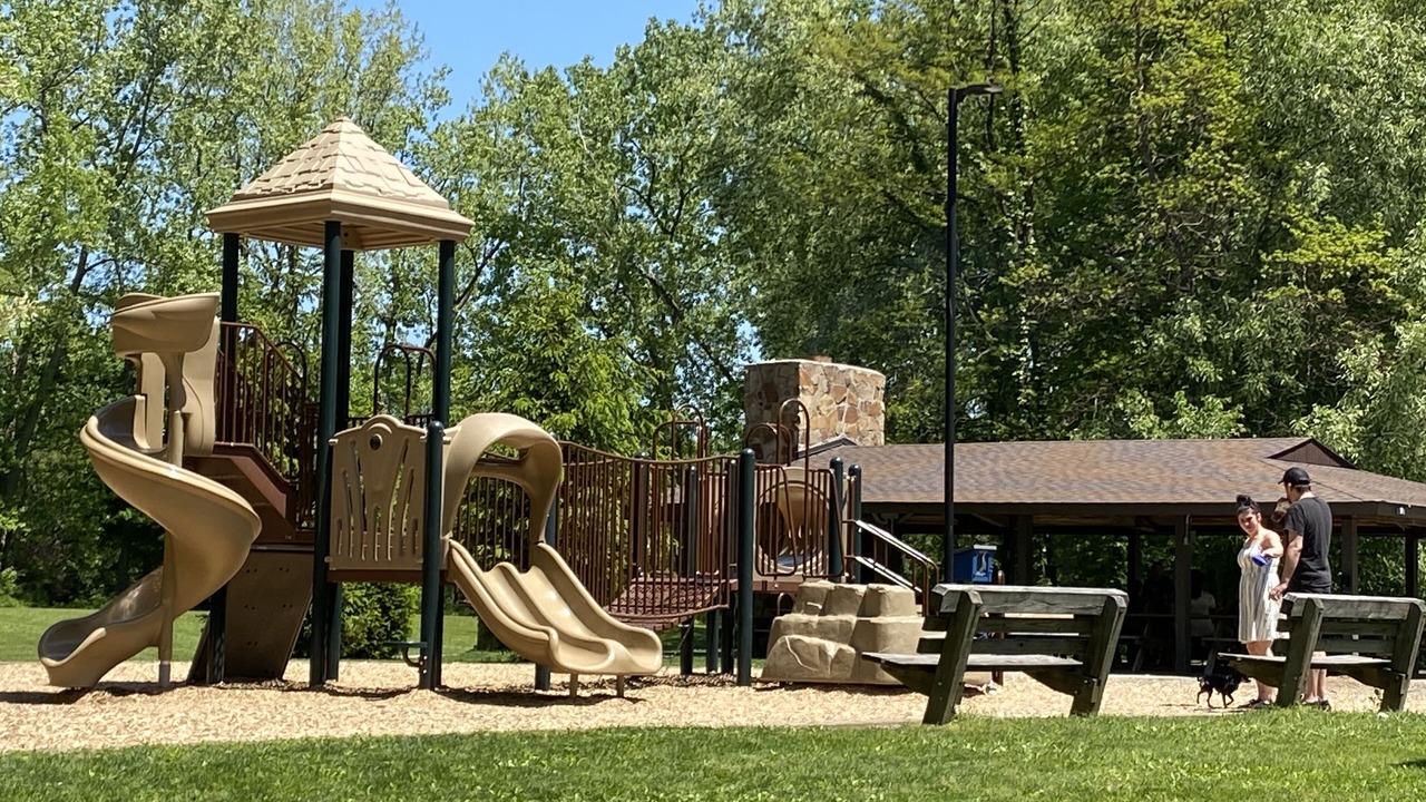 Photo of Others in Mentor