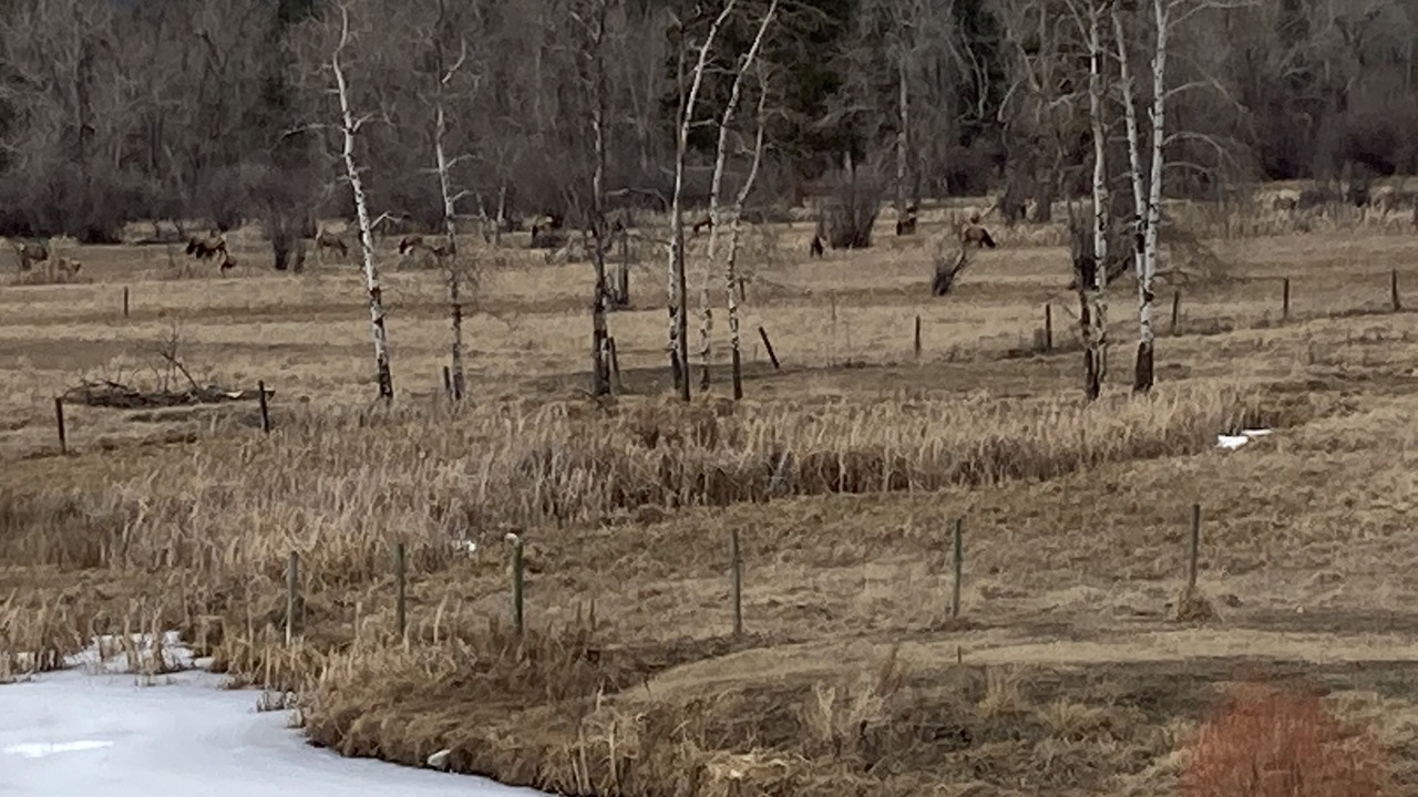Photo of Others in Grantsdale