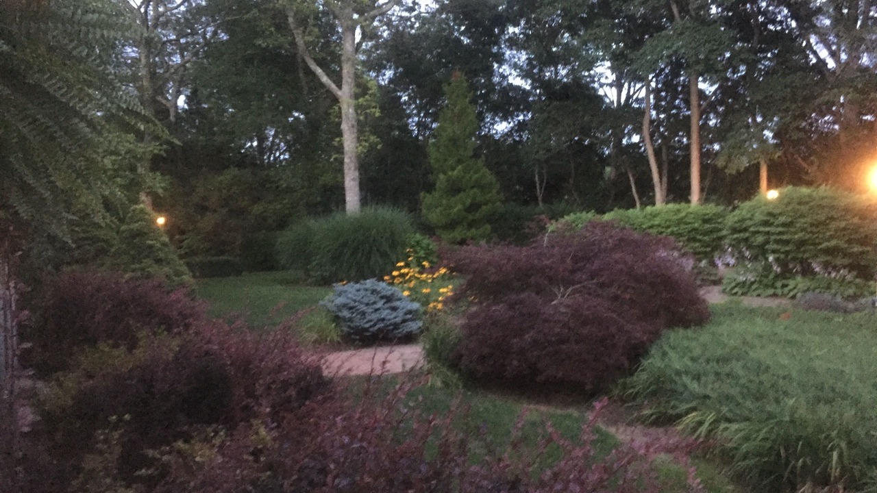 Photo of Outdoor in East Falmouth
