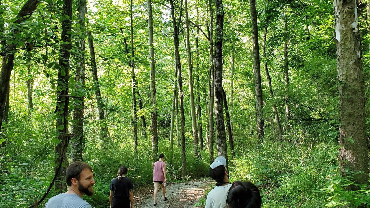 Photo of Outdoor in Flushing