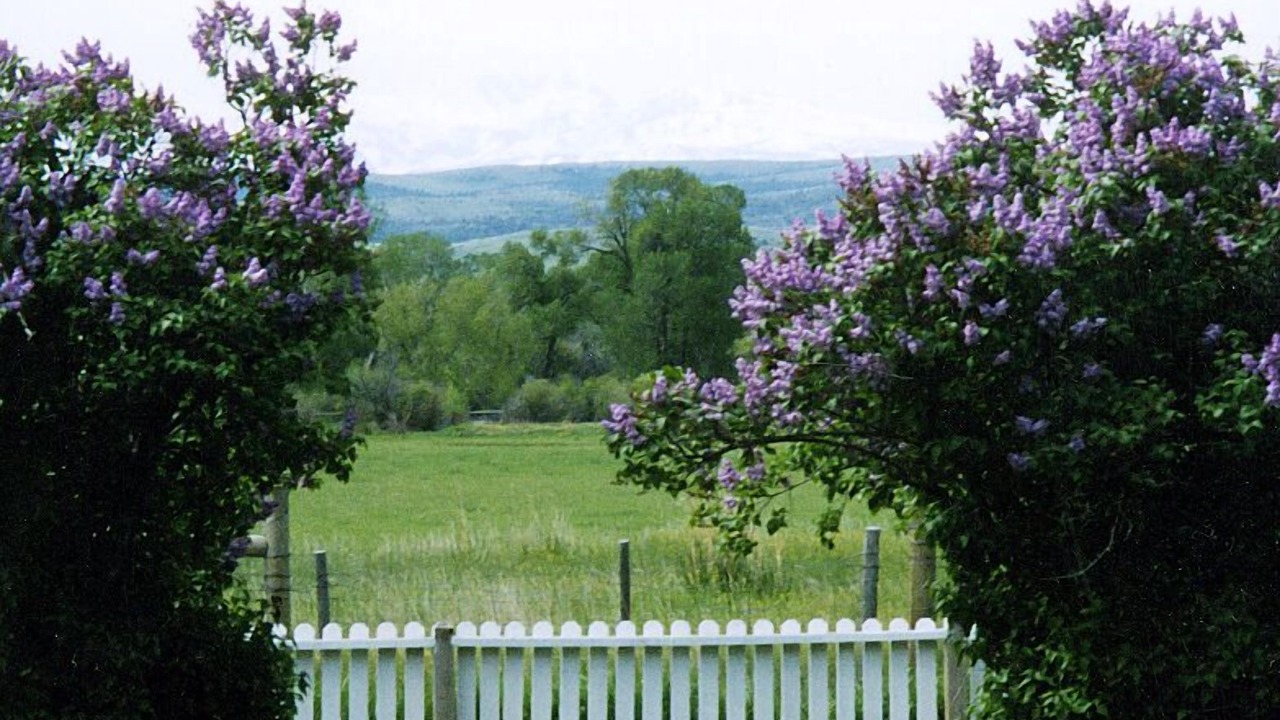 Photo of Outdoor in Big Timber