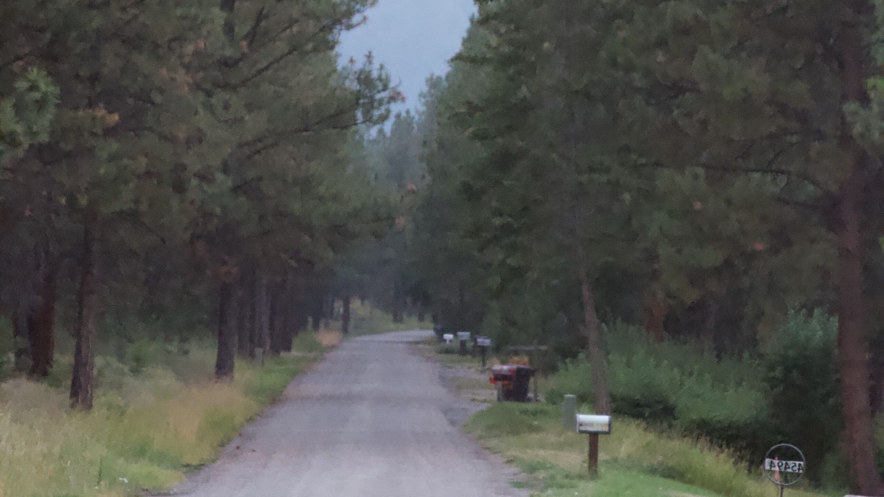 Photo of Others in Northwest Montana - Glacier National Park