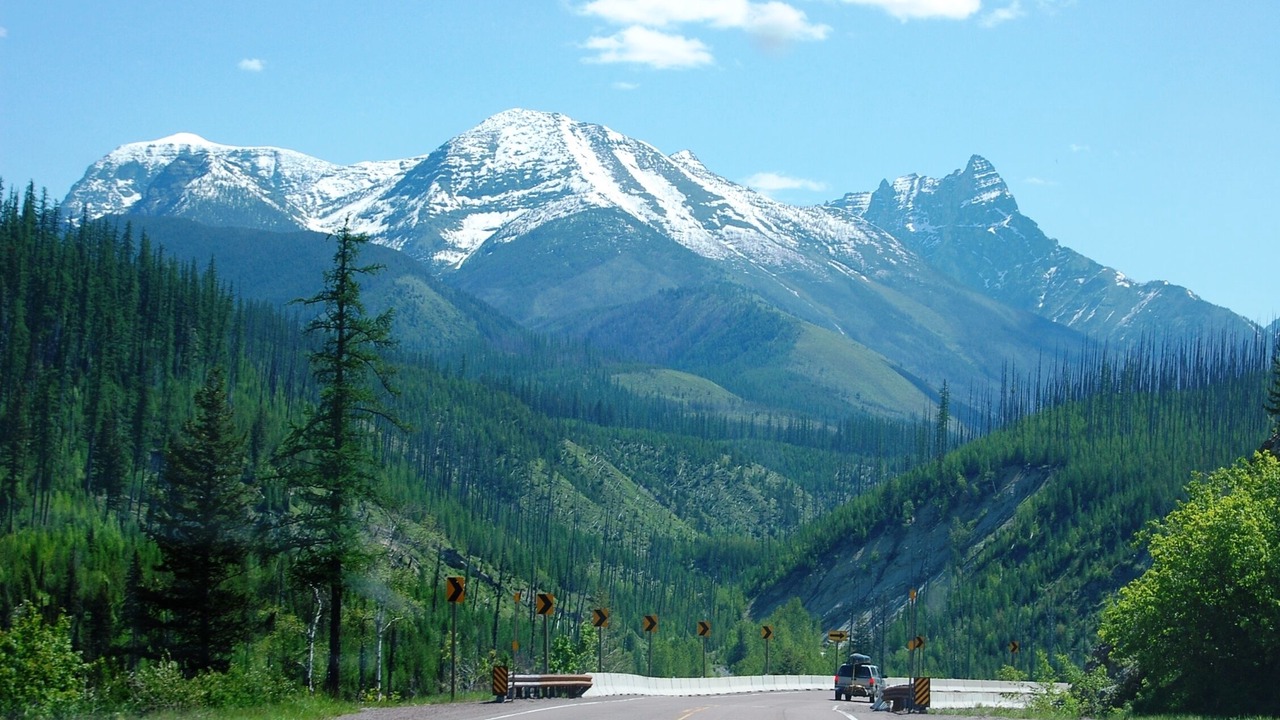 Photo of Others in West Glacier