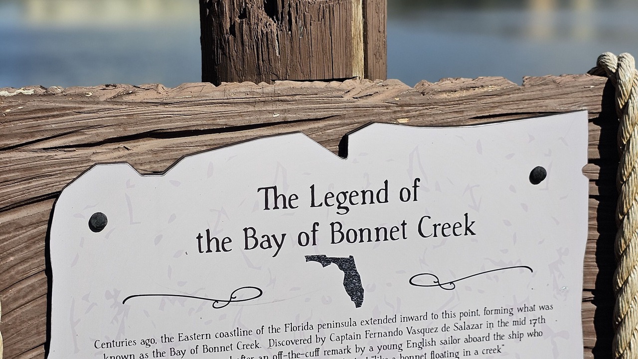 Photo of Others in Bay Lake