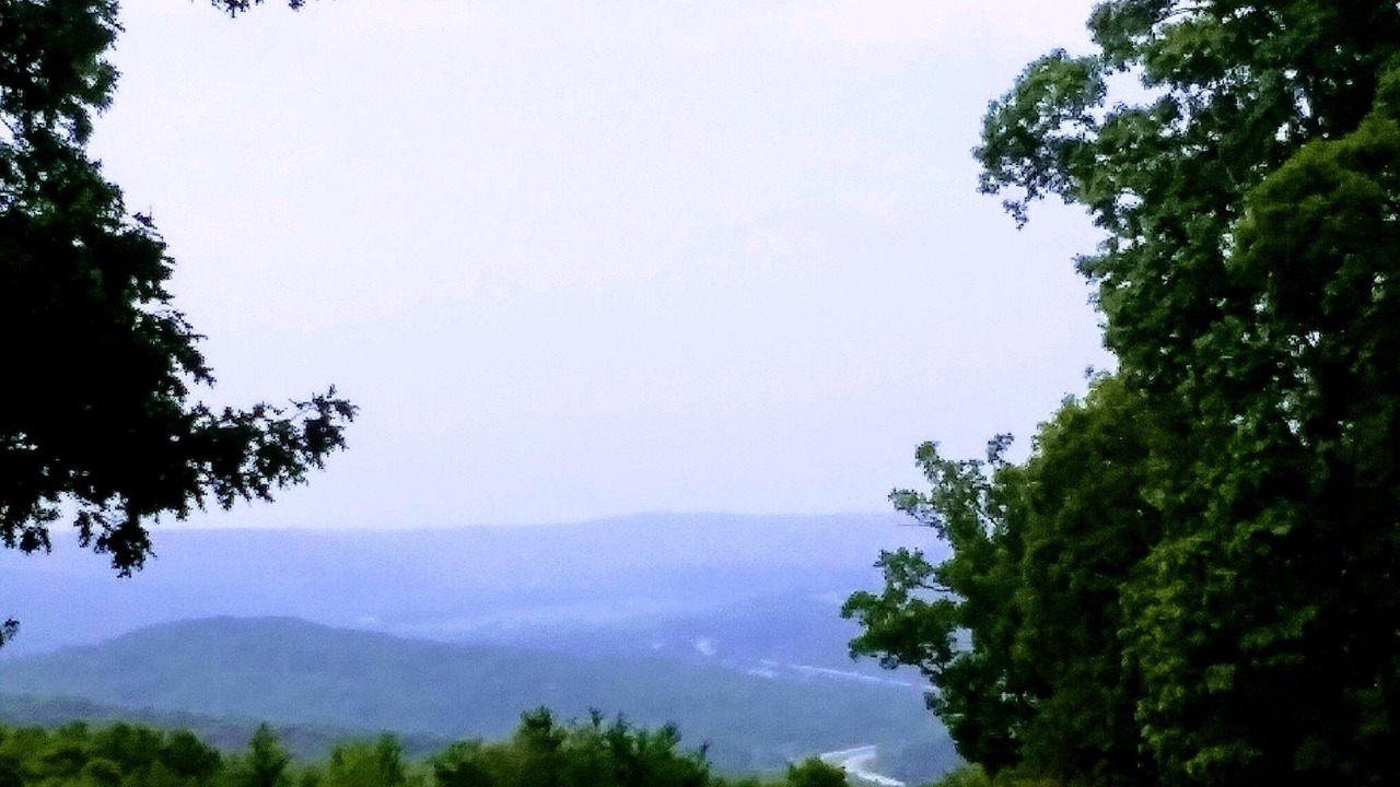 Photo of Others in Mountainburg