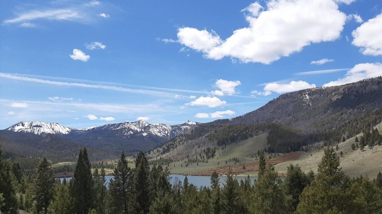 Photo of Others in Challis
