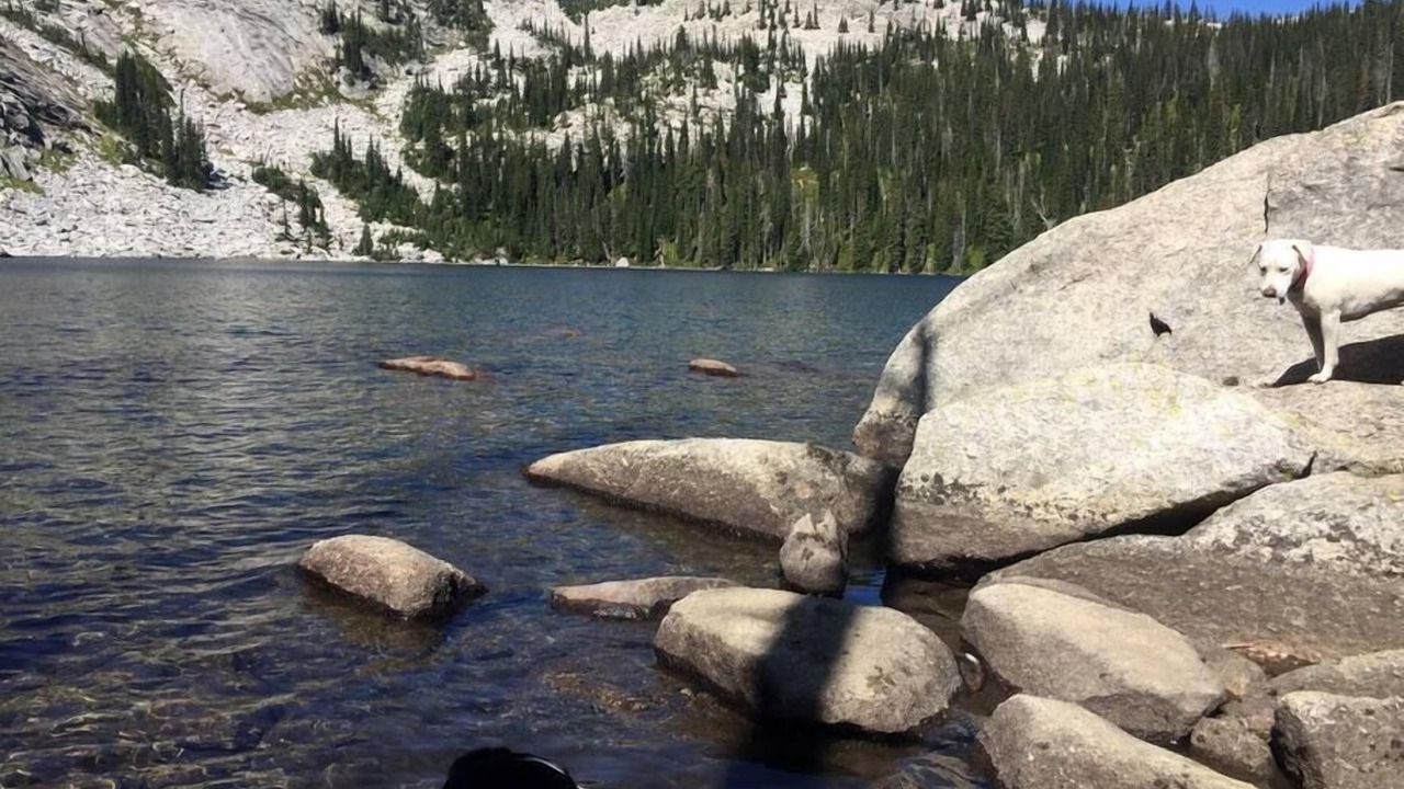 Photo of Others in Sandpoint
