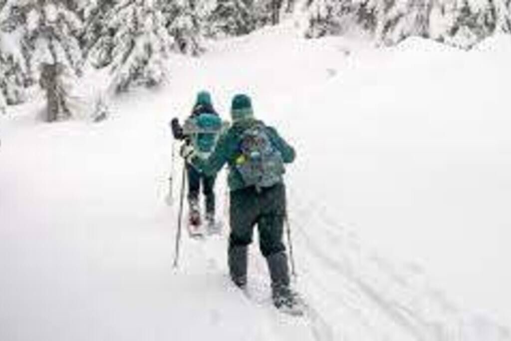 Photo of Others in Sandpoint