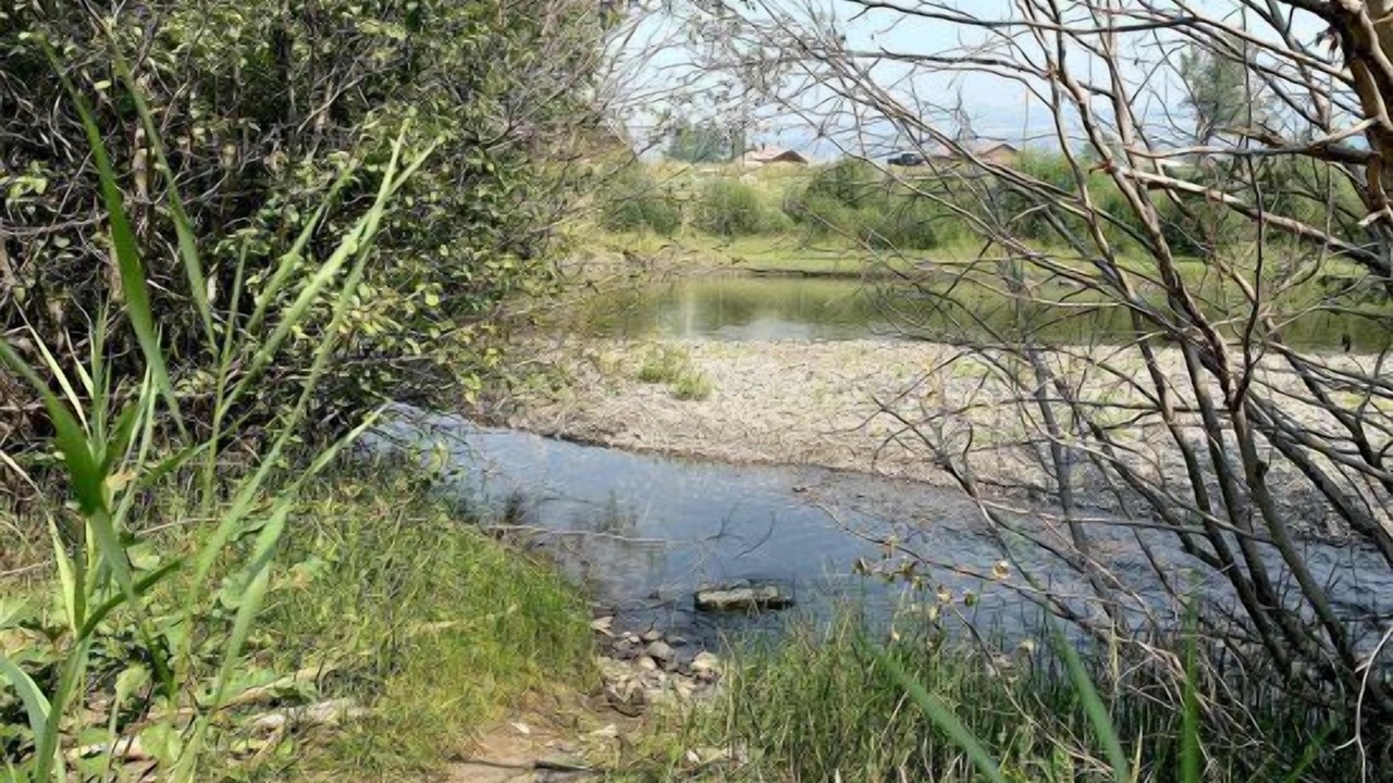 Photo of Others in Cody