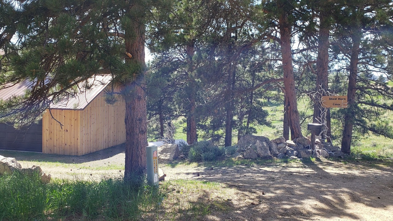 Photo of Outdoor in Wheatland