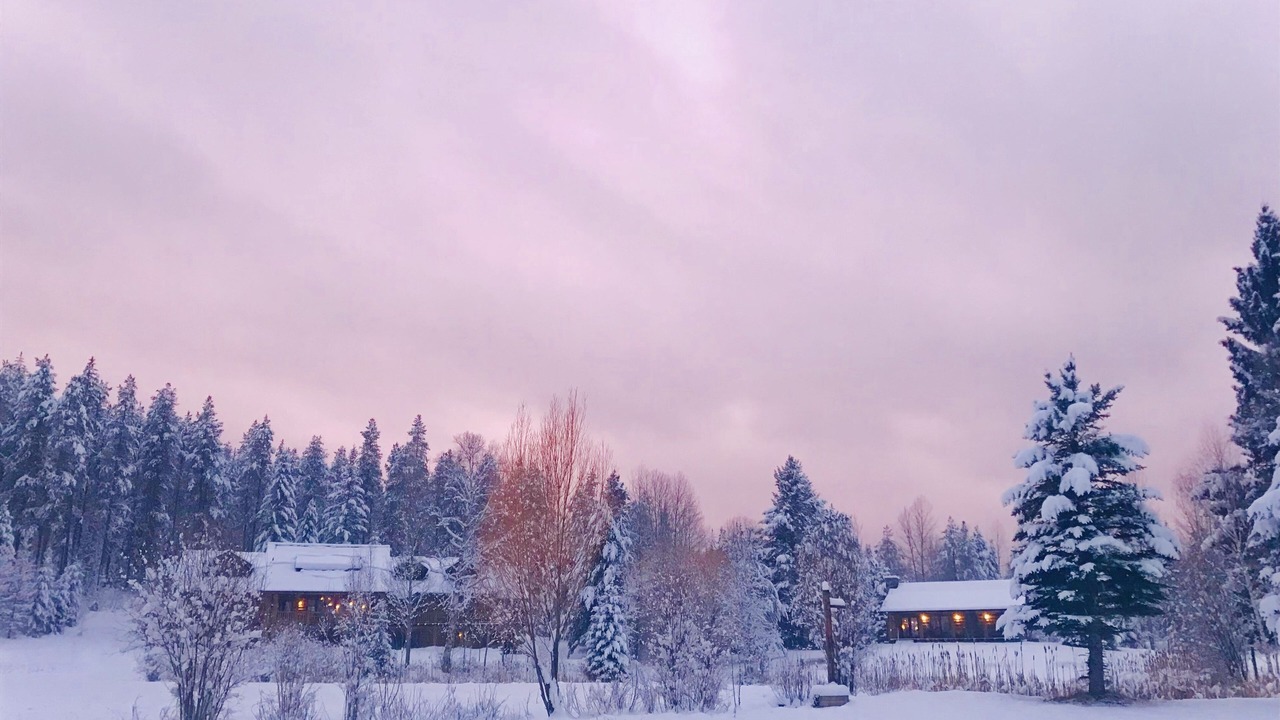 Photo of Outdoor in Coram