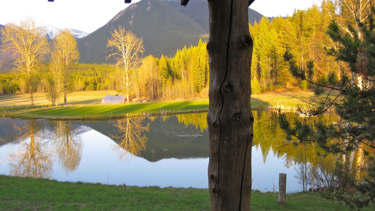 Photo of Outdoor in Coram