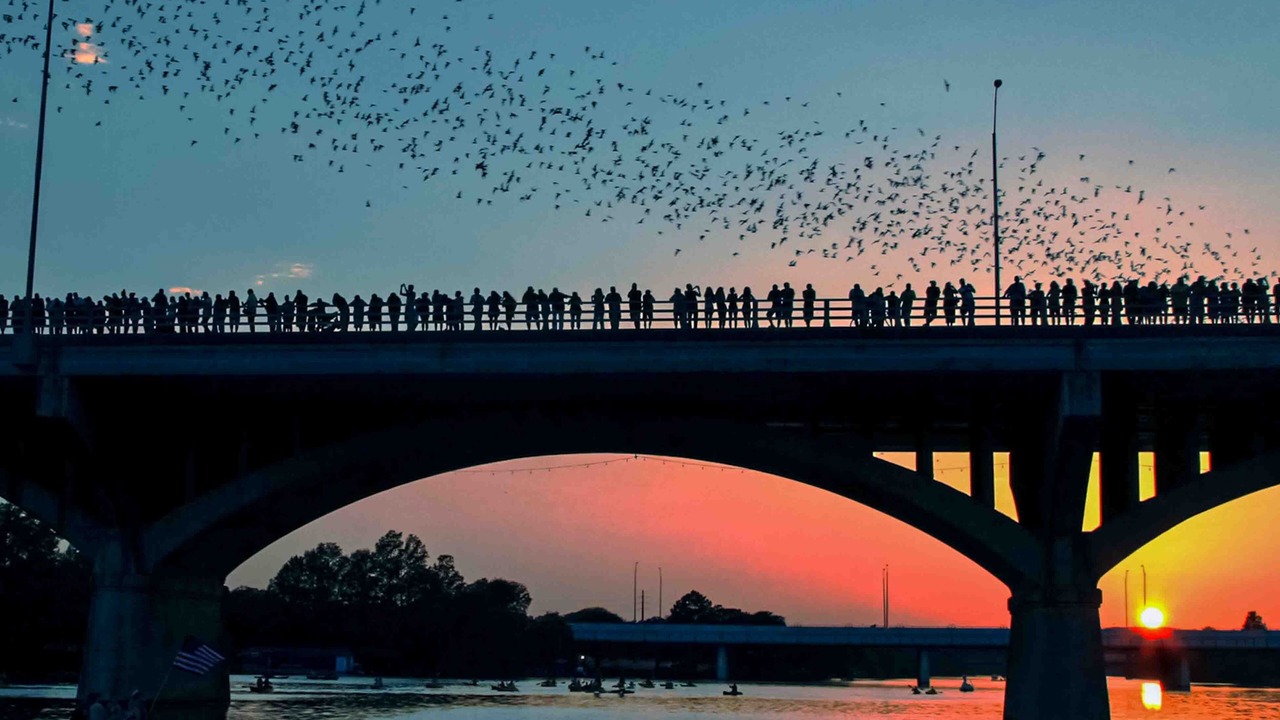 Photo of Others in Hancock