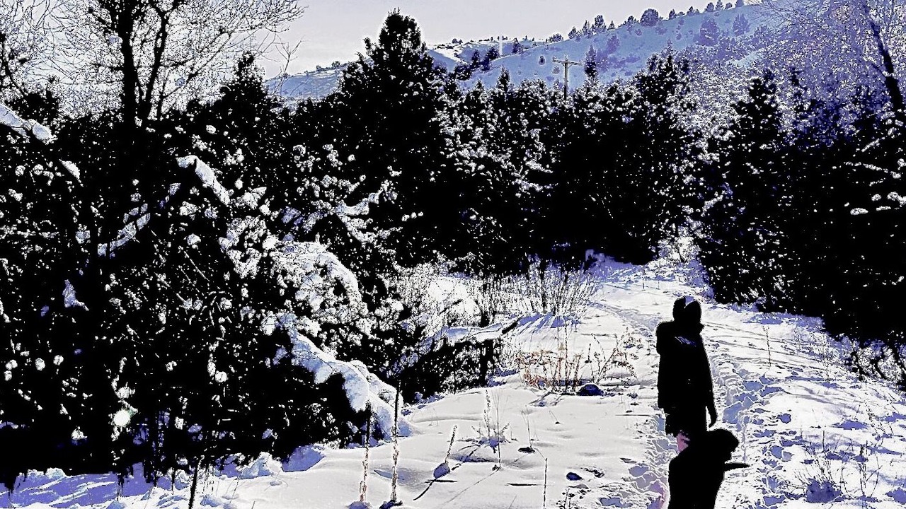 Photo of Others in Pocatello