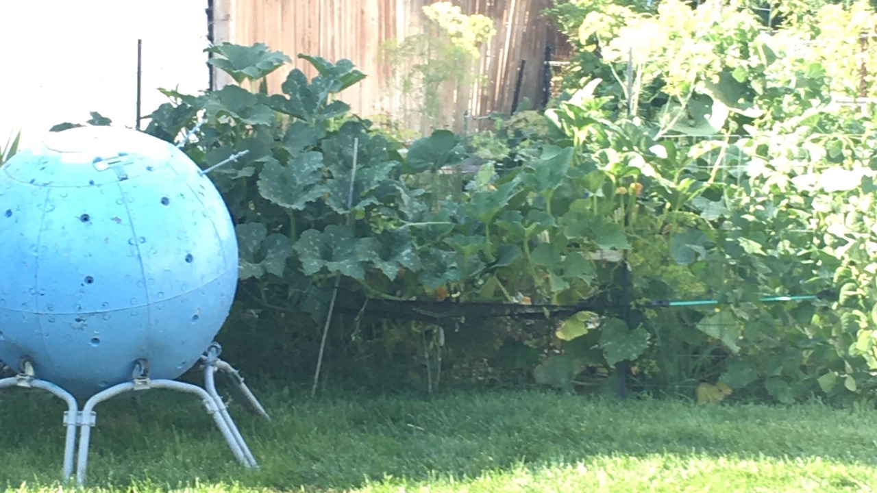Photo of Outdoor in Pocatello