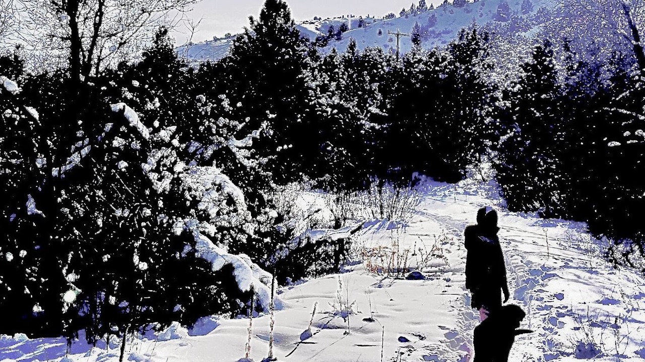 Photo of Others in Pocatello
