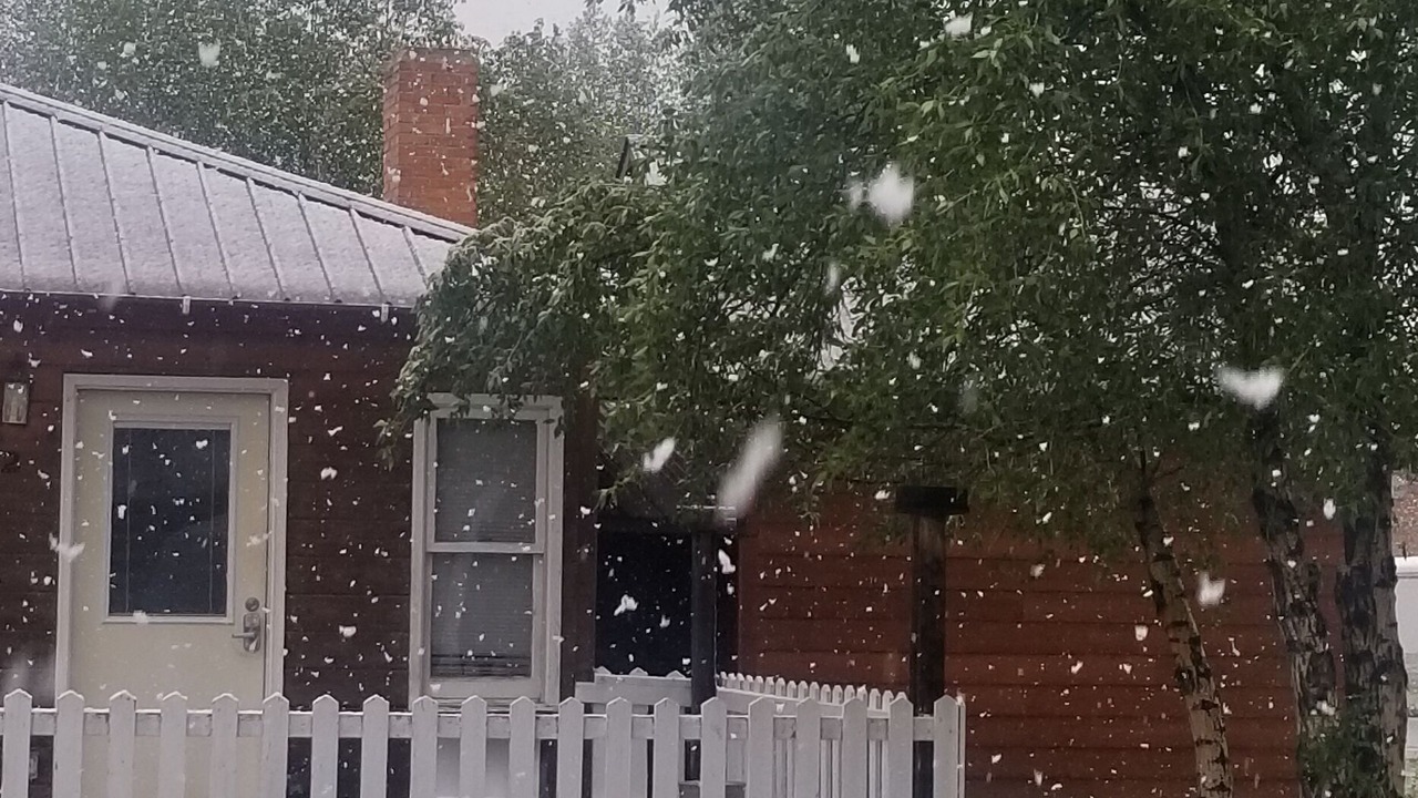 Photo of Others in Pinedale