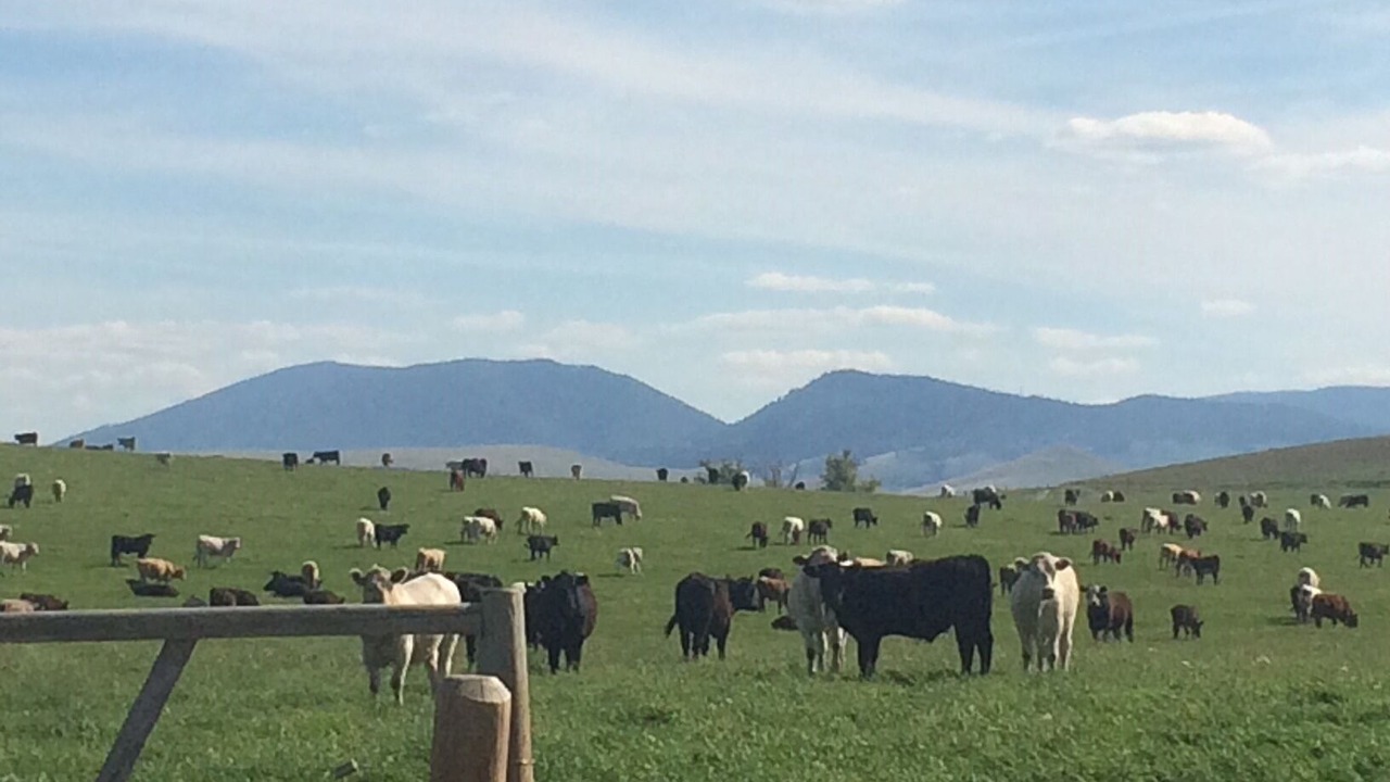 Photo of Others in Drummond