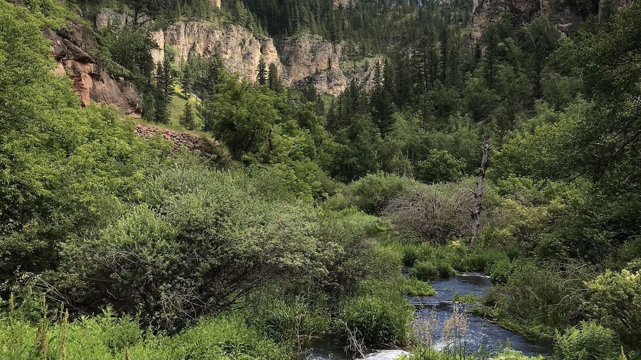 Photo of Others in Spearfish