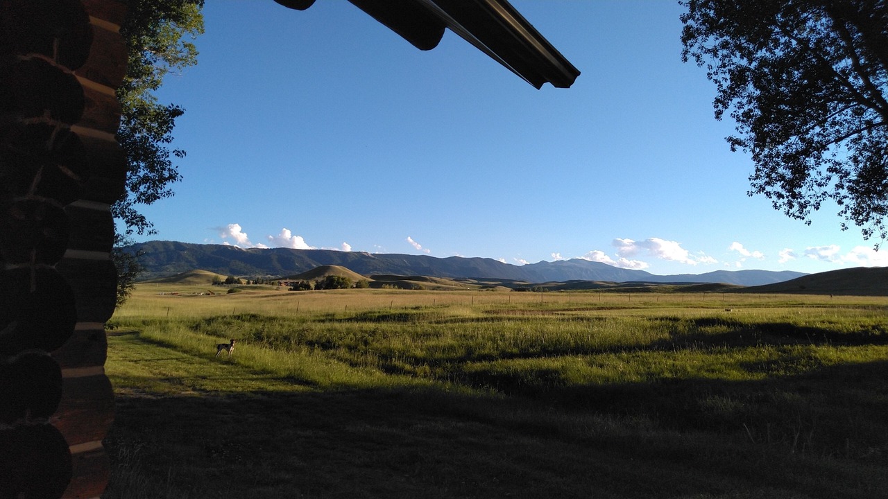 Photo of Outdoor in Sheridan