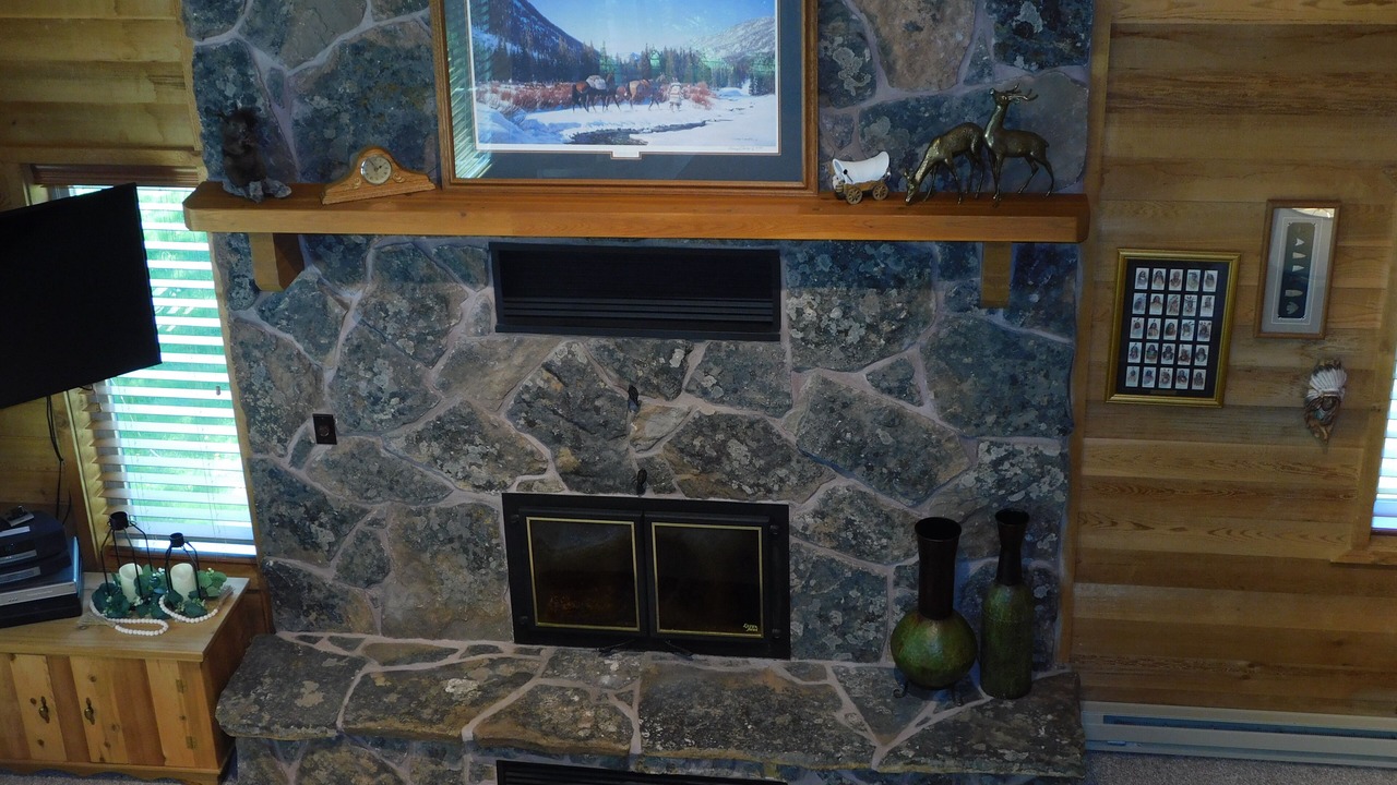 Photo of Livingroom in Island Park