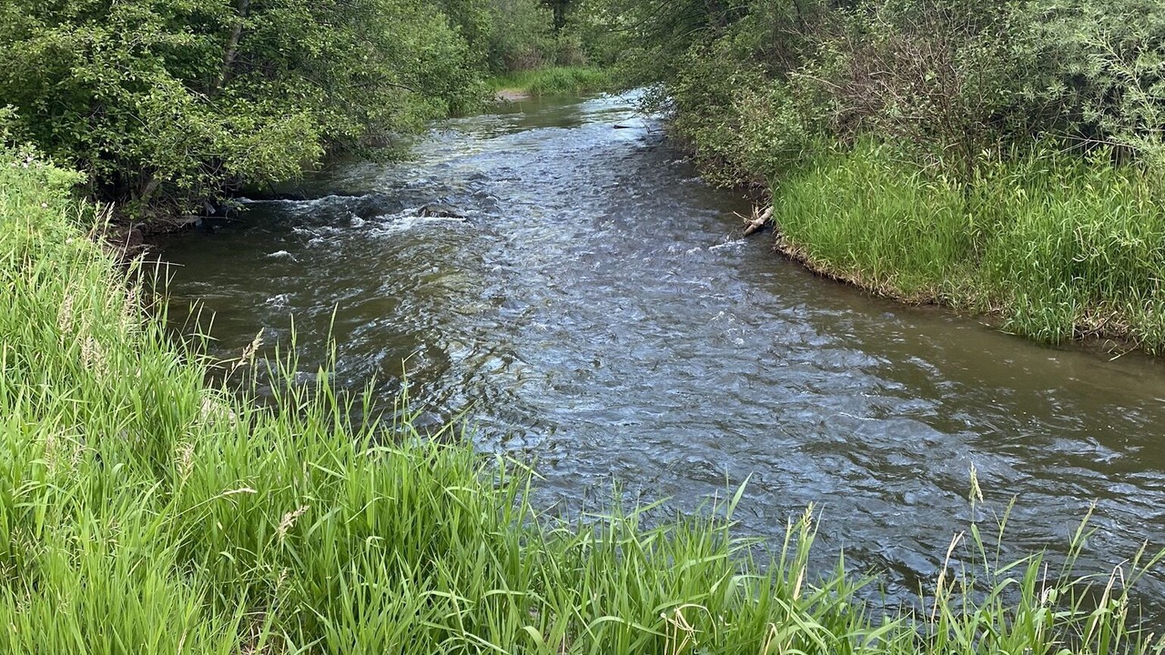 Photo of Others in Craig