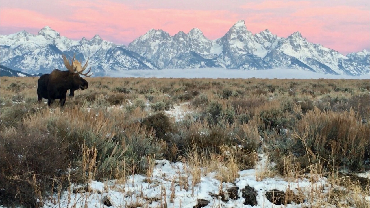 Photo of Outdoor in Jackson Hole