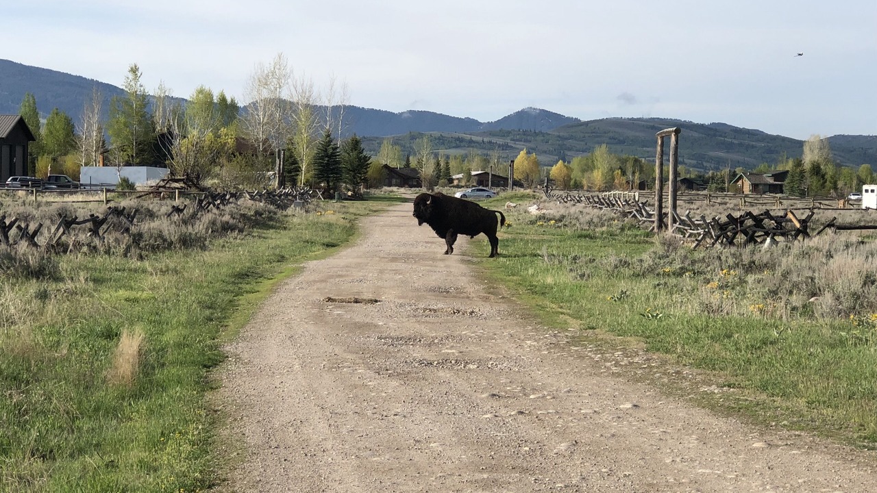Photo of Outdoor in Jackson Hole