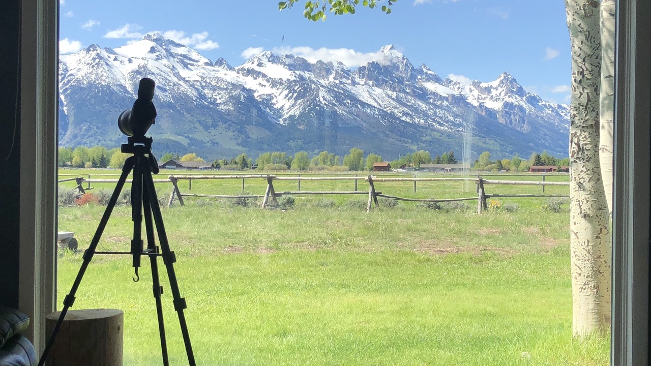 Photo of Others in Jackson Hole
