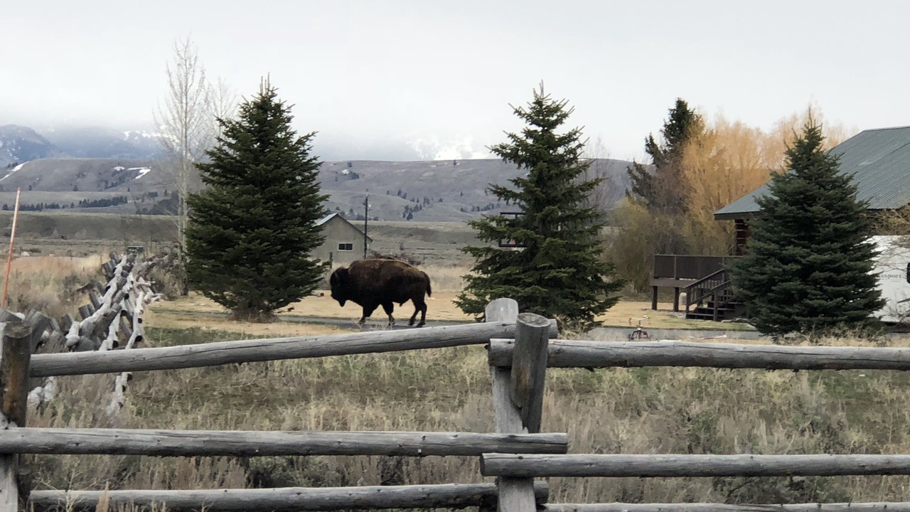 Photo of Outdoor in Jackson Hole