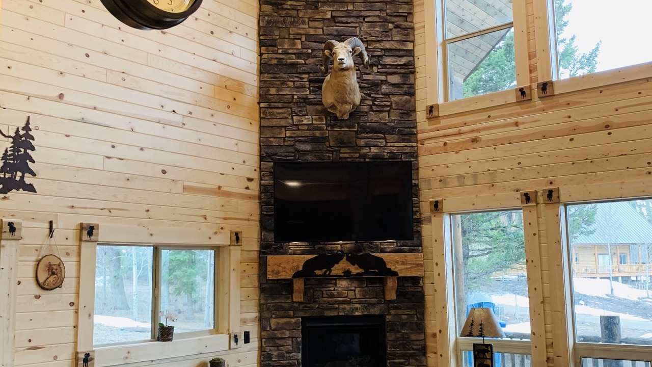 Photo of Livingroom in Island Park