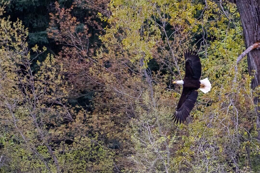 Photo of Others in Libby