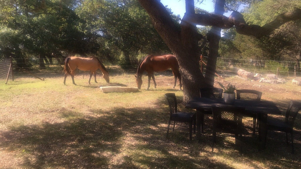 Photo of Outdoor in Spring Branch