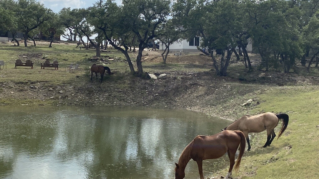 Photo of Others in Spring Branch