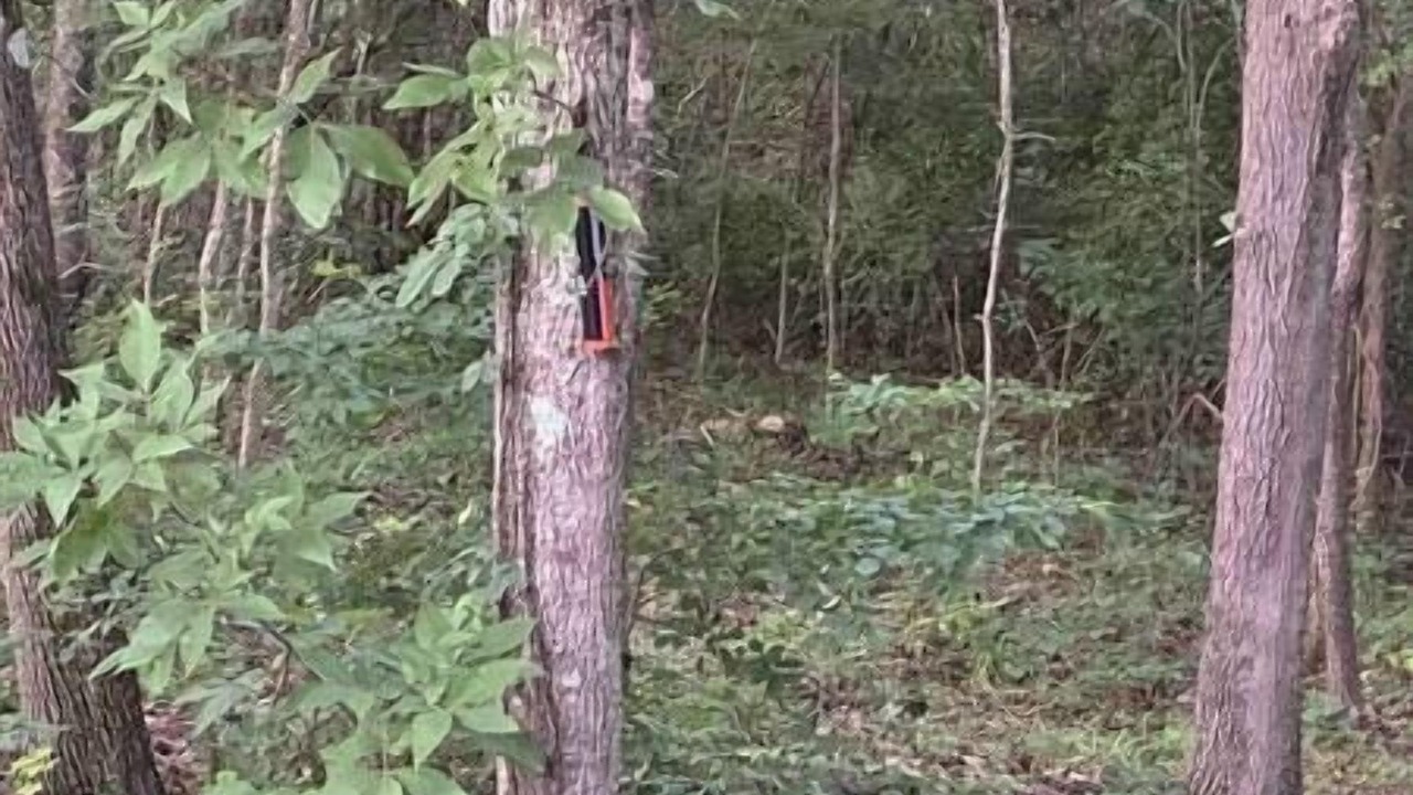 Photo of Others in Iuka