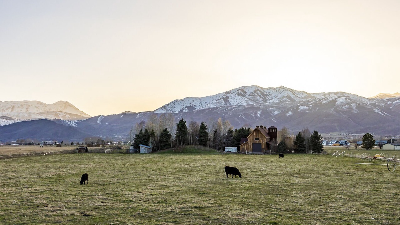 Photo of Others in Heber